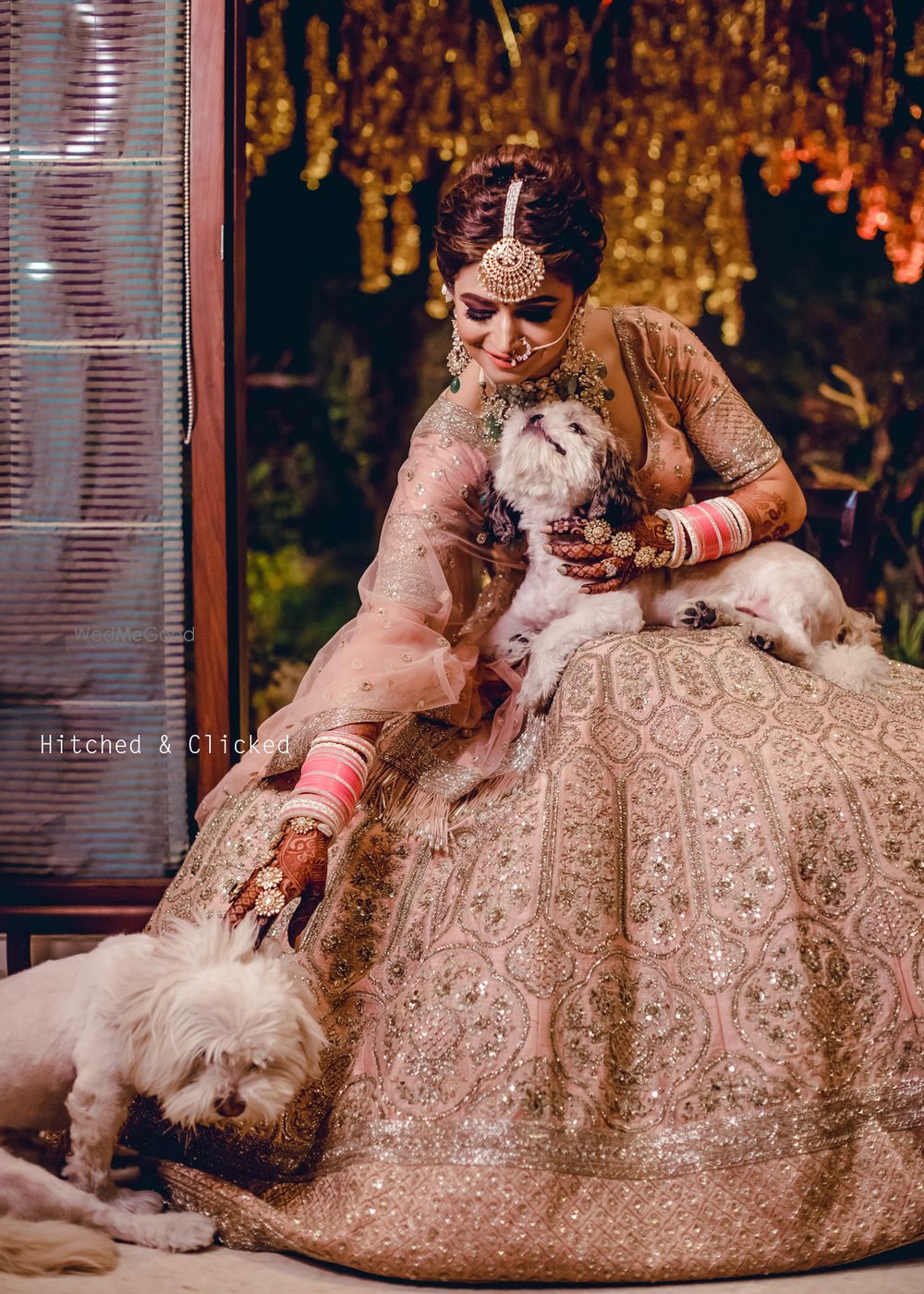 Photo of A bride with her puppies on her wedding day!