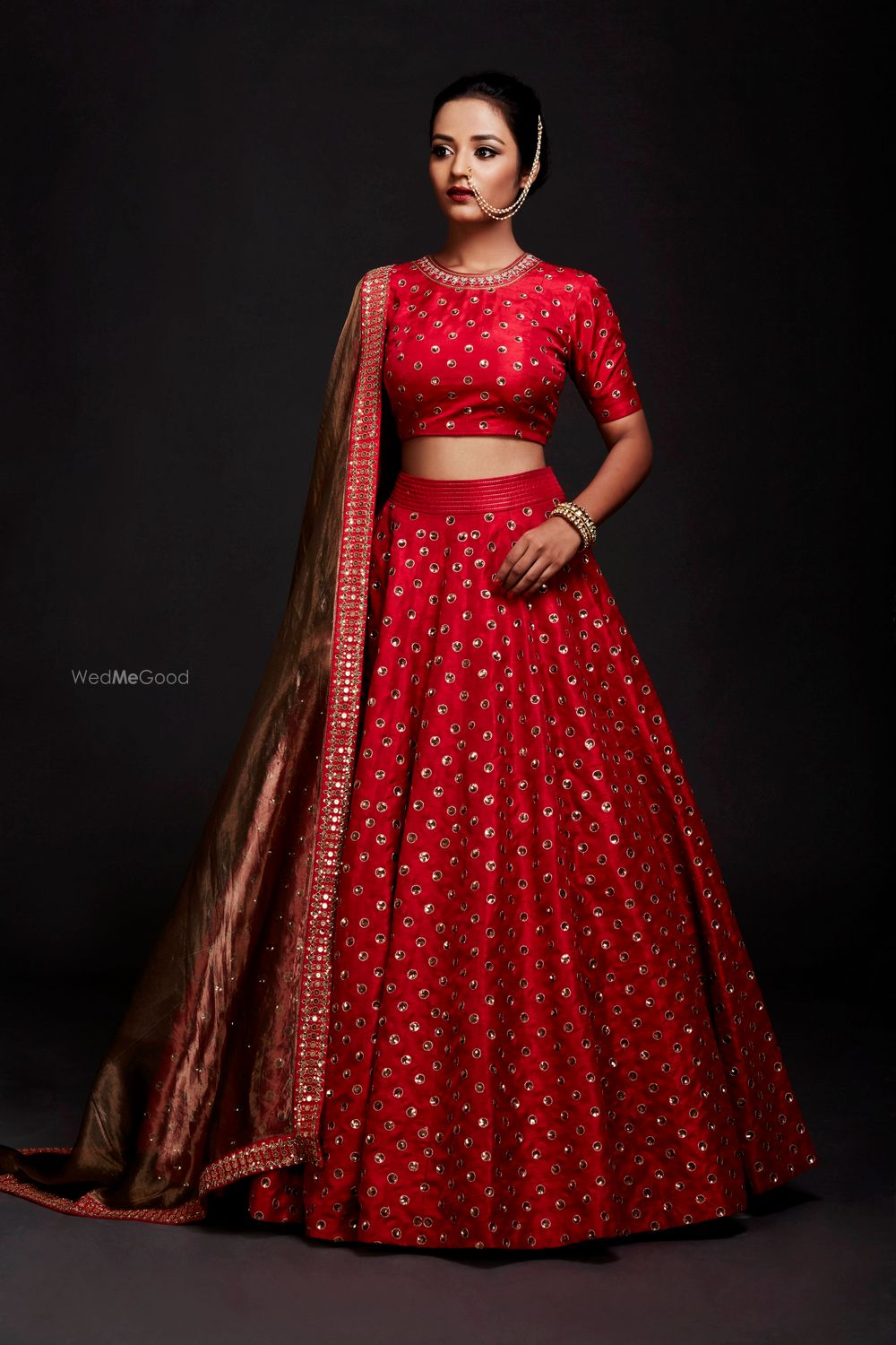 Red Bridal Lehenga Photo crop top lehenga