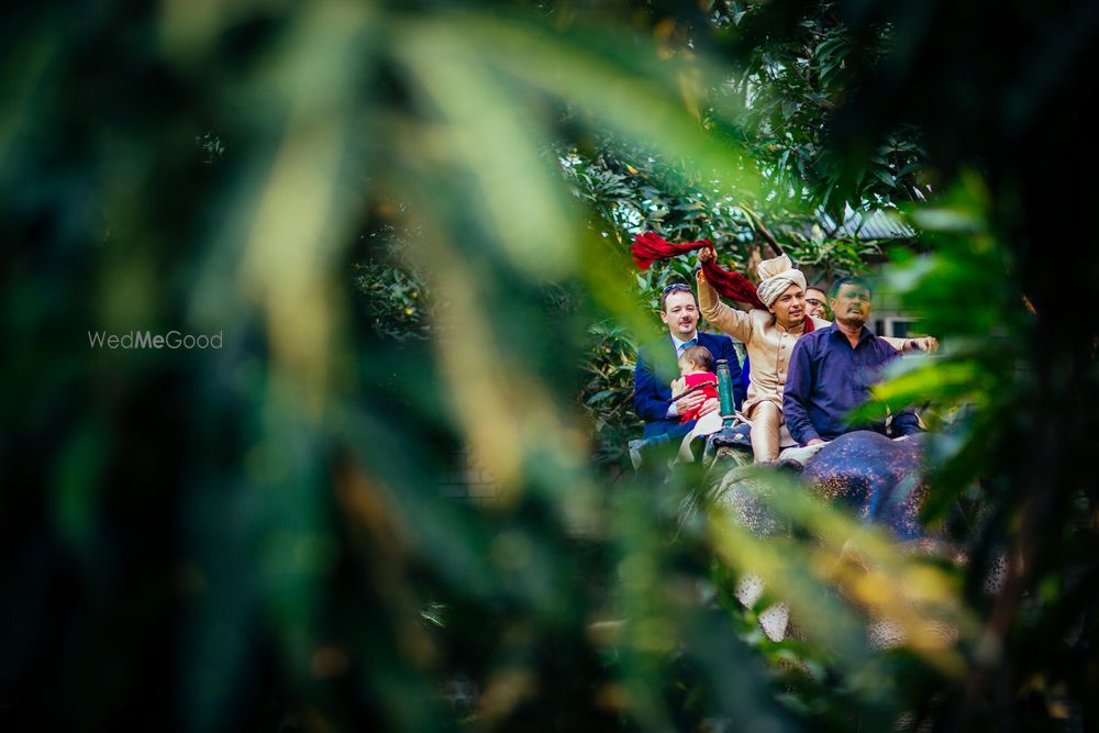 Photo From Sahil & Pashyanti - Dreamy Jungle Wedding - By The Wedding Planning Company