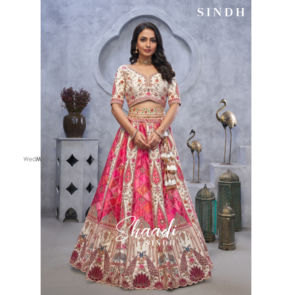 Photo From Shaadi by Sindh 2024-SAREES & LEHENGAS - By Sindh Fashions