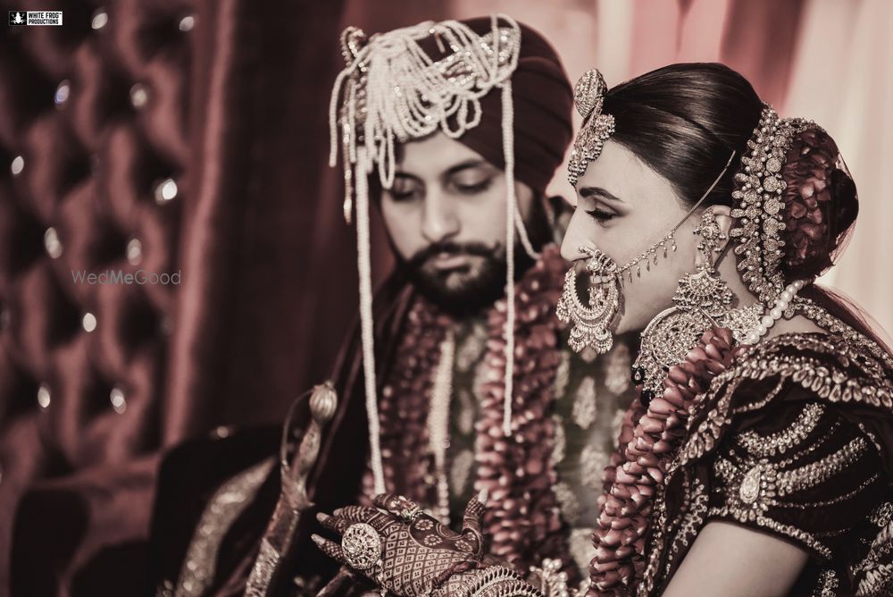 Photo From Neoma & Angad - By White Frog Productions