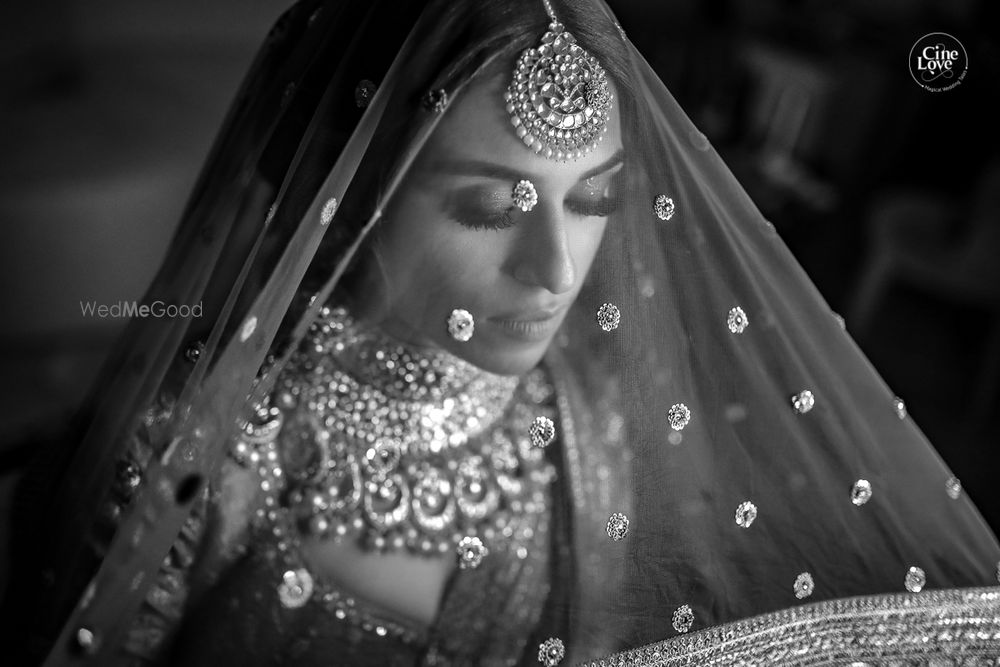 Photo of Bride in veil black and white shot