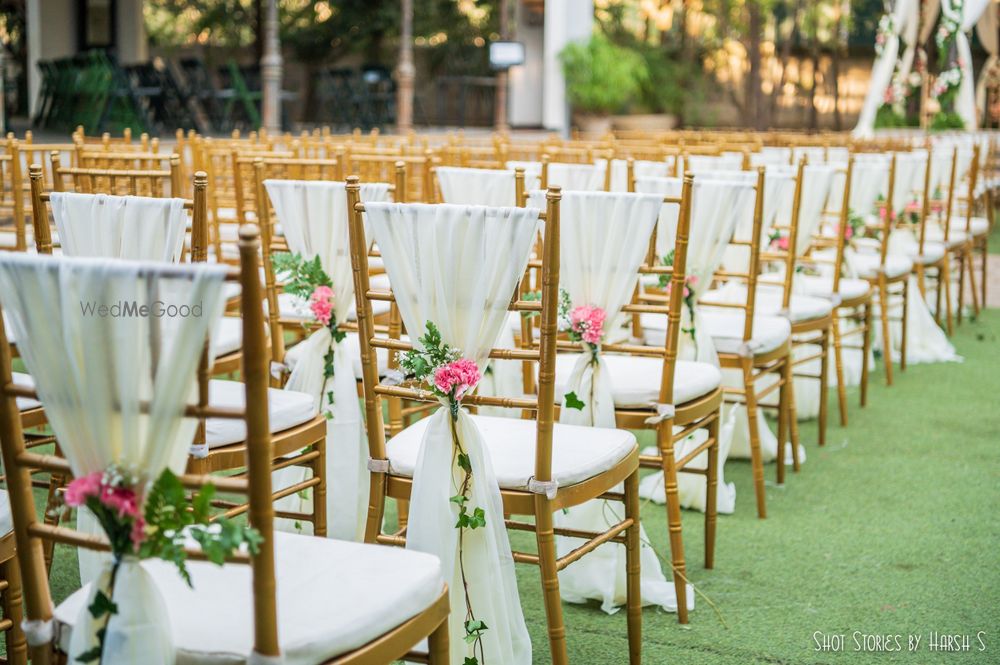 Photo of Chair backs decor.