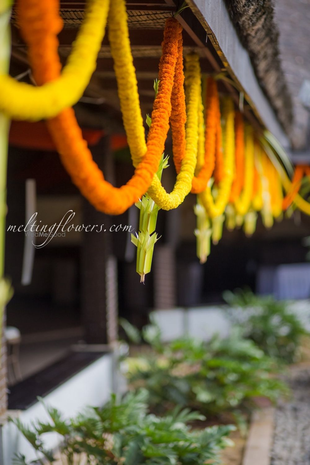 Photo From SUN-KISSED BLOSSMS - By Melting Flowers