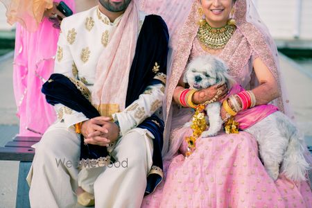 Photo of Cute couple portrait with bride holding dog