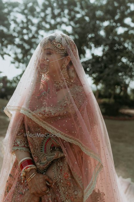 Photo of bride in veil on her wedding day