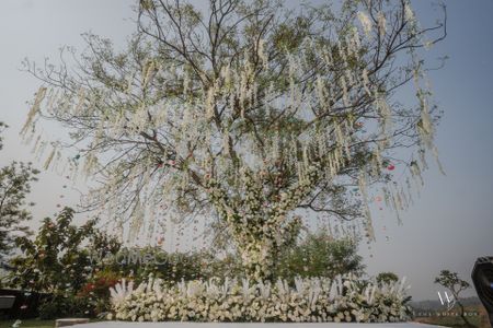 Photo of All white floral hanging decor on a tree for an outdoor style mandap