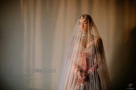 Photo of Gorgeous bridal portrait with the bride with a sheer veil on her wedding day