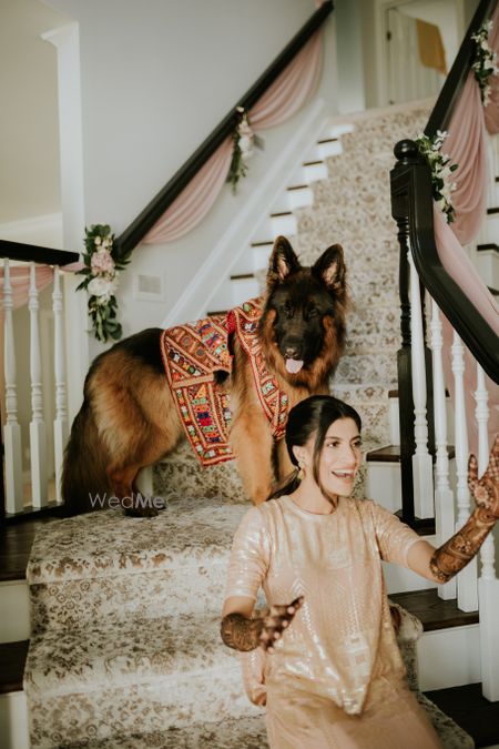 Photo of bridal portrait with her dog wearing clothes