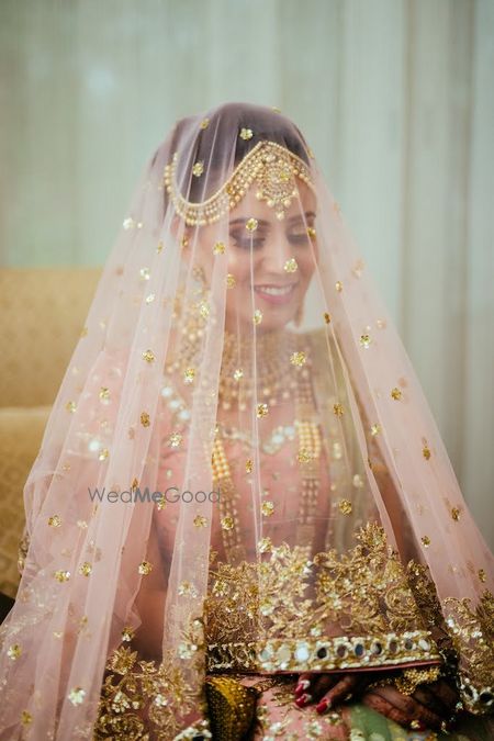 Photo of Wedding day bridal portrait with dupatta as veil