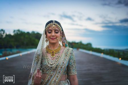 Photo of pretty bridal portrait