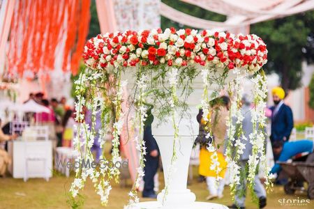 Photo of red and white flowers