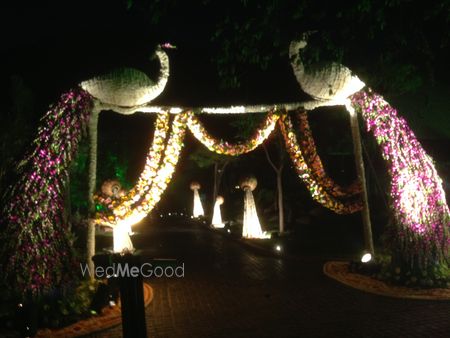 Photo of peacock entrance decor