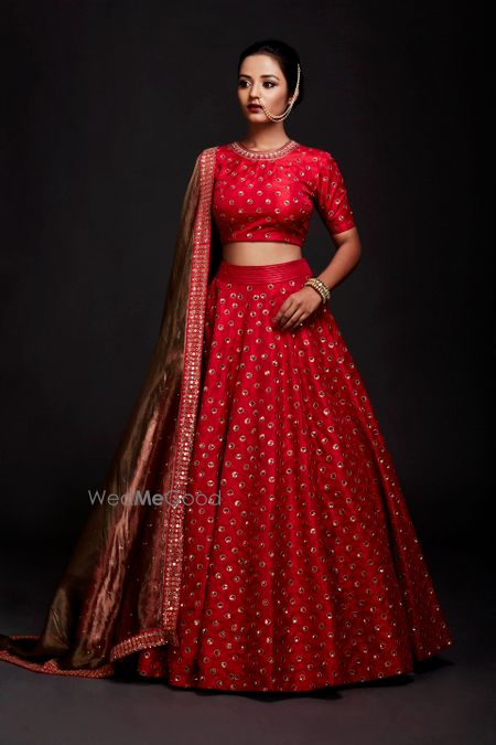 Red Bridal Lehenga Photo crop top lehenga