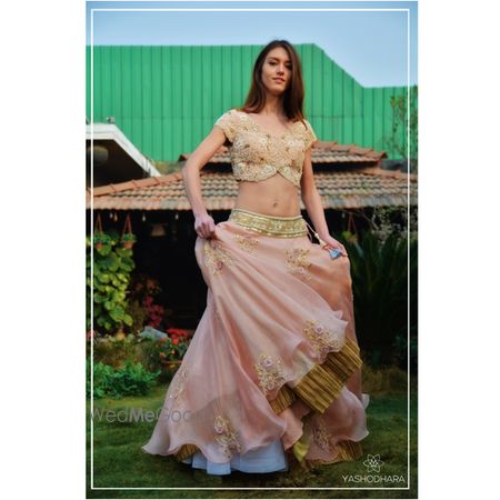 Photo of blush colored lehenga