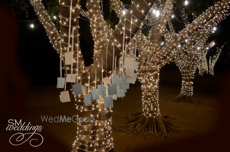 Photo of wishing tree