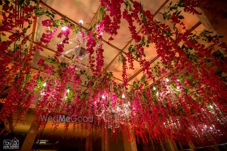 Photo of Bright pink and green hanging flowers