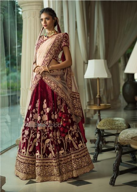 Photo of Peacock and floral motif unique velvet lehenga