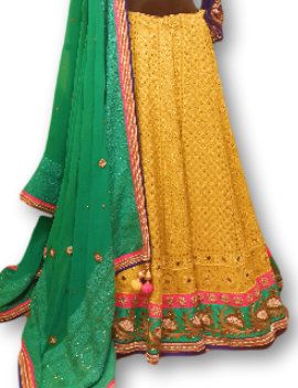 Photo of yelloe chikan work lehenga