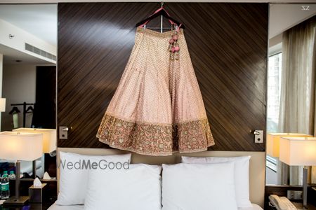 Photo of Champagne Peach Lehenga on a Hanger