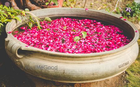 Photo of Floating Rose Petals Arrangement