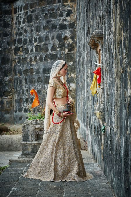 Photo of Light Gold Shimmer Lehenga