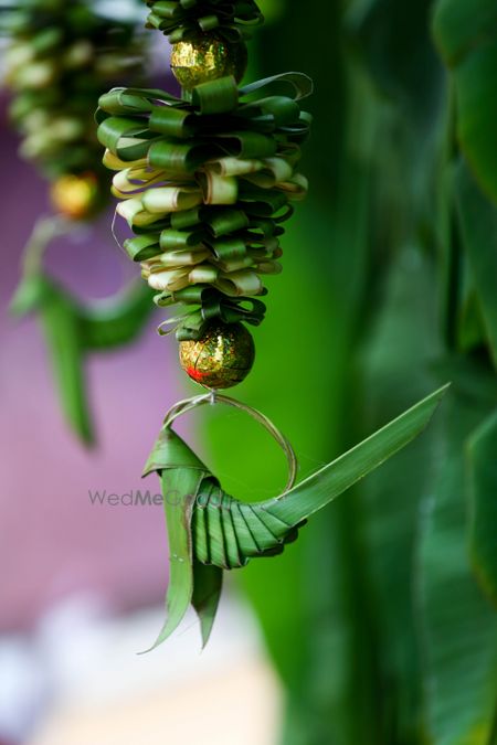 Photo of parrot detailing