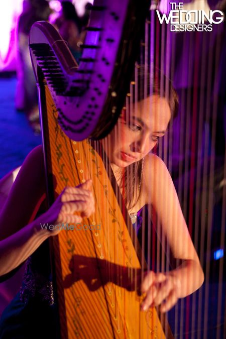 Photo of Entertainment idea for wedding 0 harpist